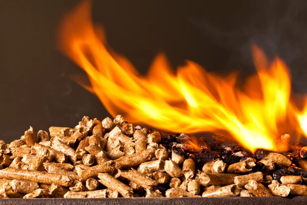 Wood pellet — Stock Photo, Image