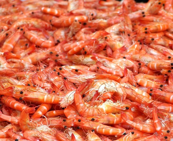 Fresh Shrimps for Sale — Stock Photo, Image