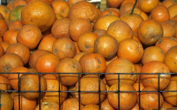 판매에 대 한 신선한 천연 오렌지 — 스톡 사진