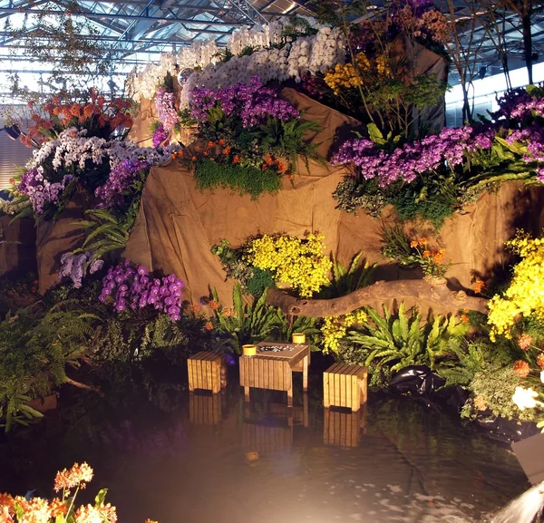 Mezinárodní výstava orchidejí v Tchaj-wanu — Stock fotografie