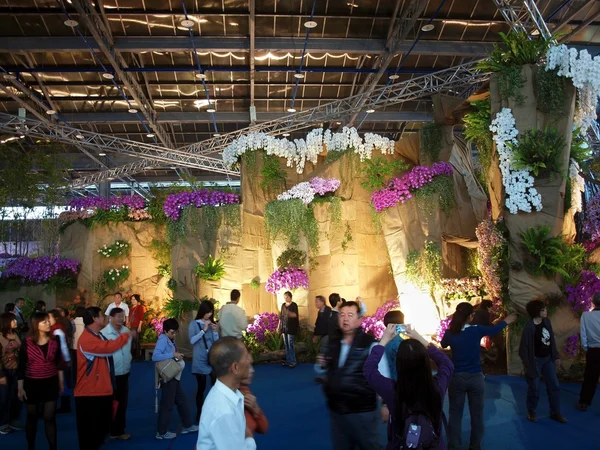 De internationale orchid show in taiwan — Stockfoto