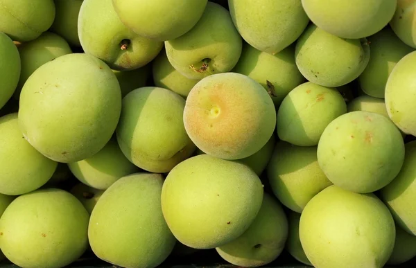 Ciruelas verdes chinas — Foto de Stock