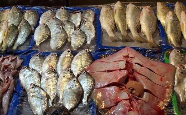 Dispalía de mariscos en un mercado — Foto de Stock