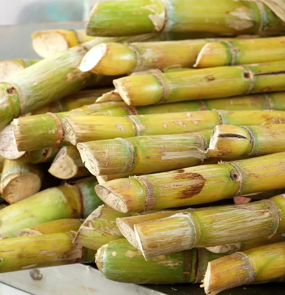 Cana de açúcar cortada para venda — Fotografia de Stock