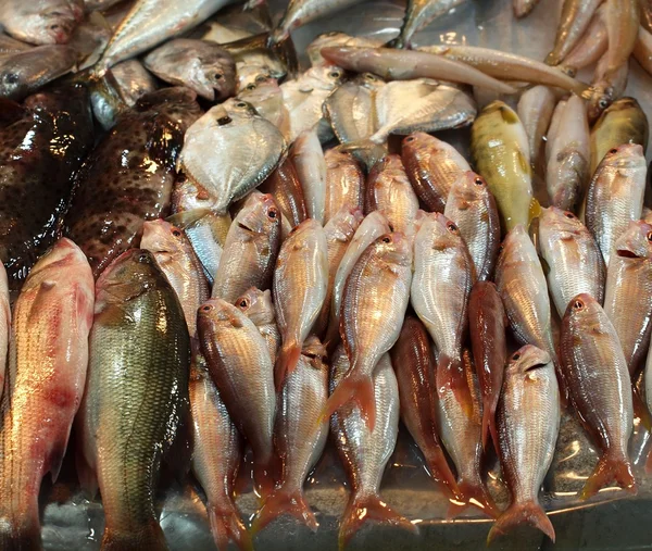 Pescado en venta en Taiwán — Foto de Stock