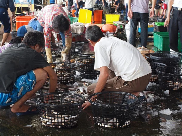 Subasta de pescado en un puerto pesquero local en Taiwán — Foto de Stock