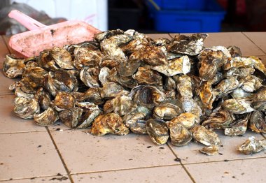 açık bir market taze istiridye