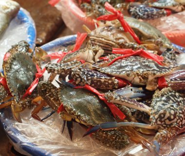 Satılık taze yengeçler