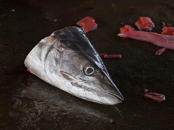 Discarded Fish Head — Stock Photo, Image