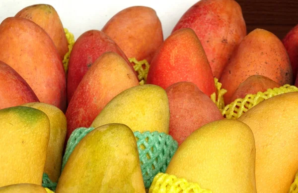 Rijpe rode en gele mango's te koop — Stockfoto