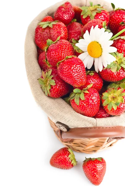 Mandje van aardbeien op witte — Stockfoto