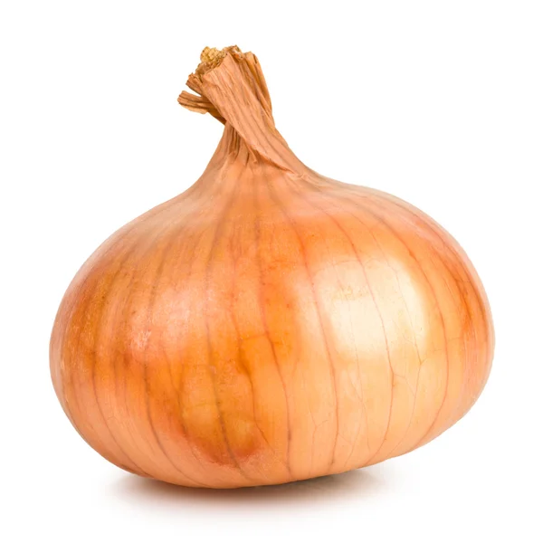 Onion — Stock Photo, Image