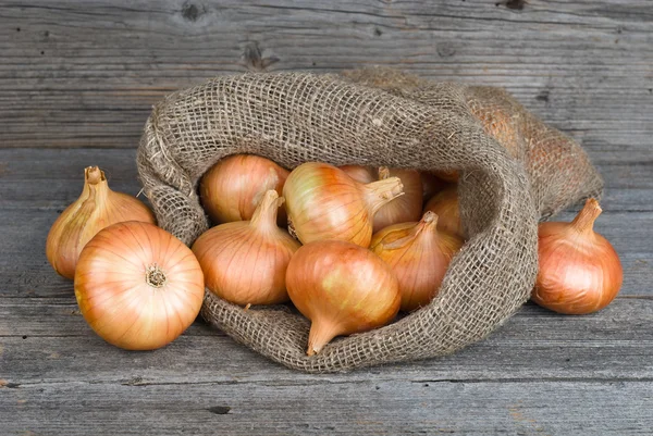 Lök på säckväv säck — Stockfoto