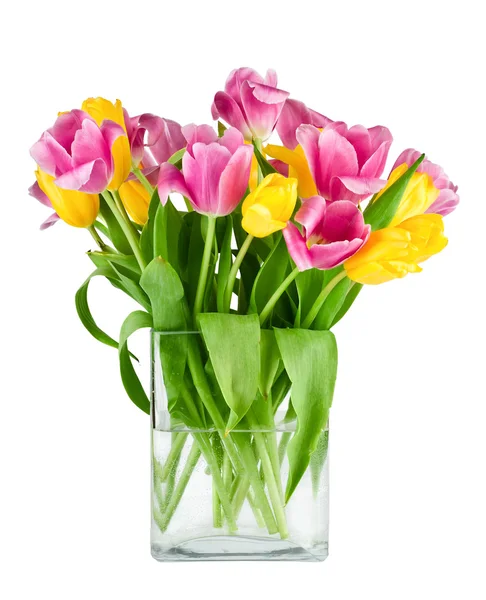 Bouquet of fresh tulips in vase isolated — Stock Photo, Image