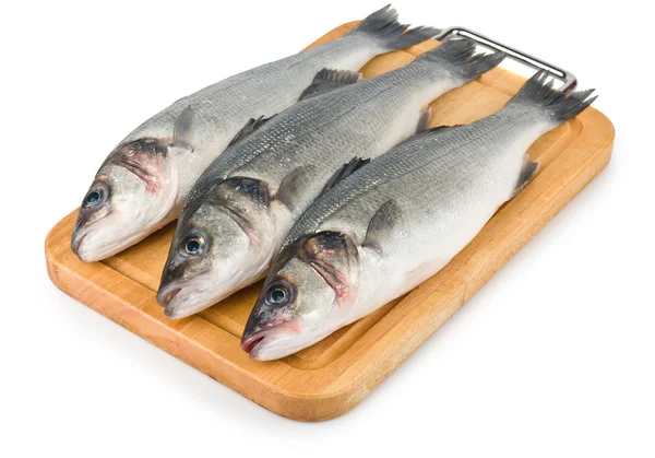 Branzino fresco su sfondo bianco — Foto Stock