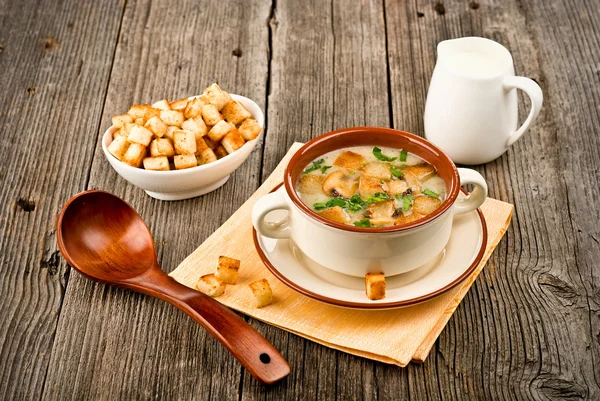 Crema de sopa de champiñones — Foto de Stock