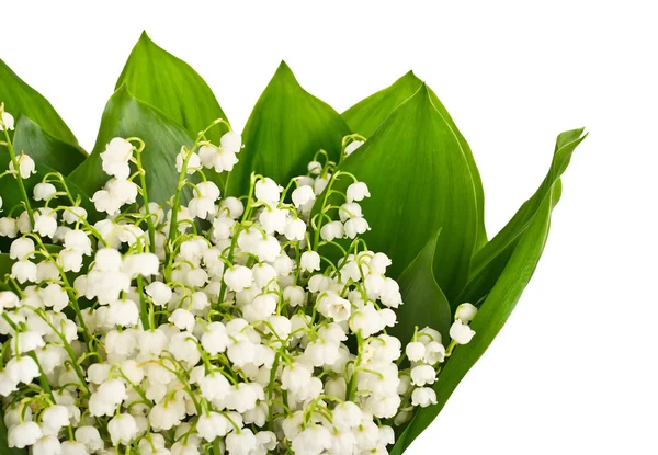 Vadideki zambak buketi