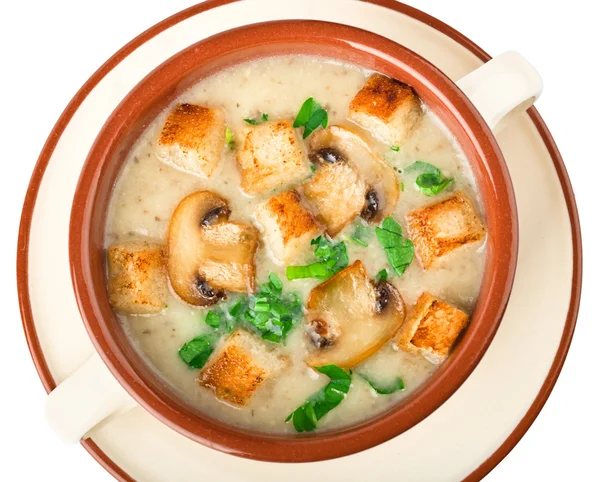 Freshly made mushroom soup — Stock Photo, Image