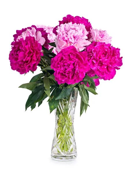 Vase of peony blooms — Stock Photo, Image