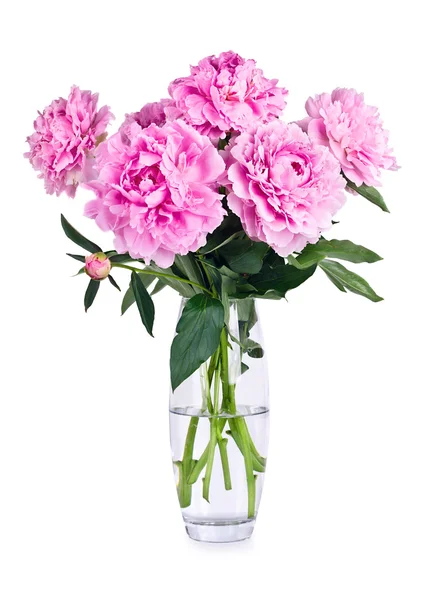 Vase of peony blooms — Stock Photo, Image