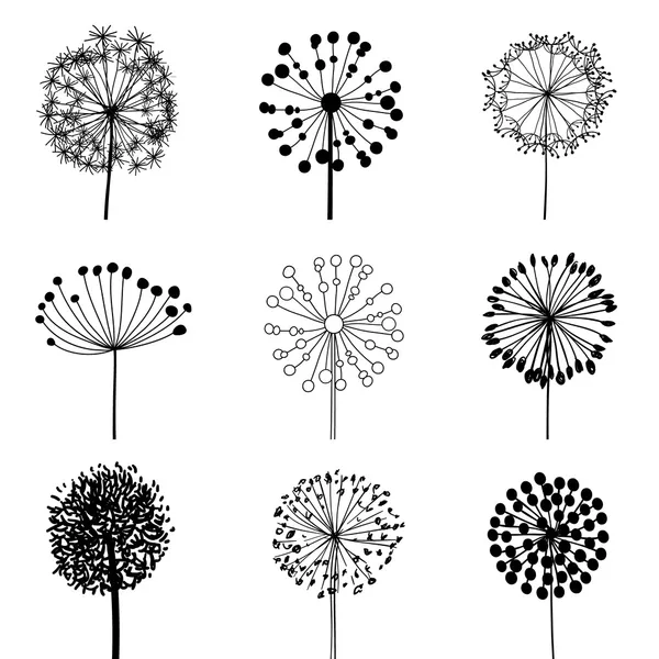 Conjunto de Dandalions — Vector de stock