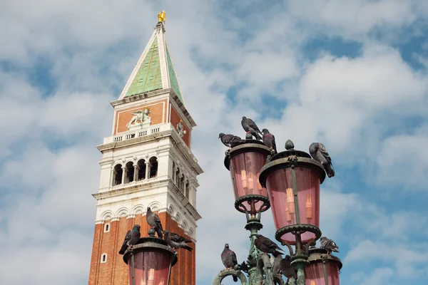 Duvor på lyktor, Venedig, Italien. — Stockfoto