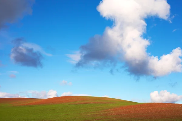 Campo y cielo . — Foto de Stock