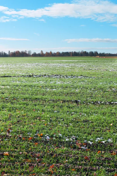 Schneefeld und bewölkter Himmel. — Stockfoto