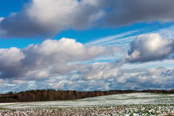 Besneeuwde veld en bewolkte hemel. — Stockfoto