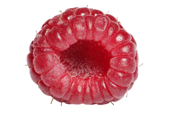 Raspberry. — Stock Photo, Image