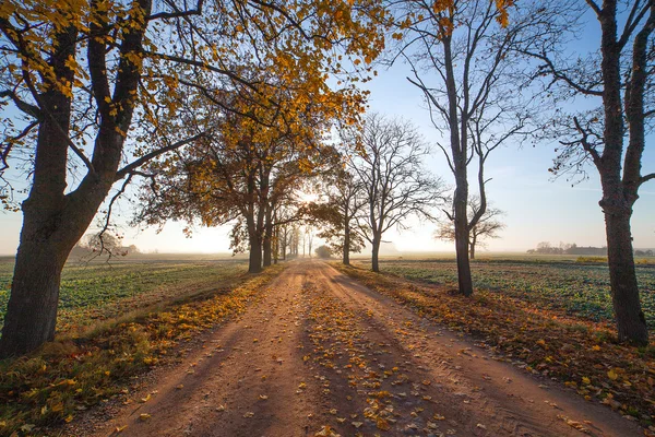 Strada rurale in autunno . — Foto Stock