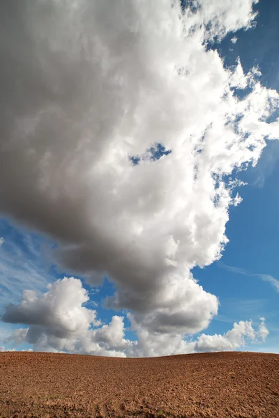 Landschaft. — Stockfoto