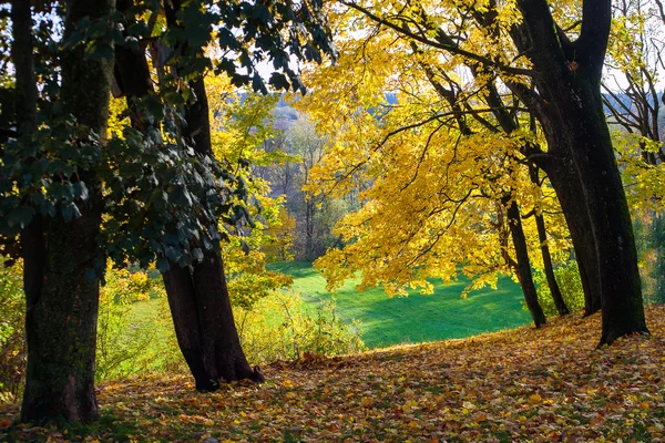 가을. — 스톡 사진