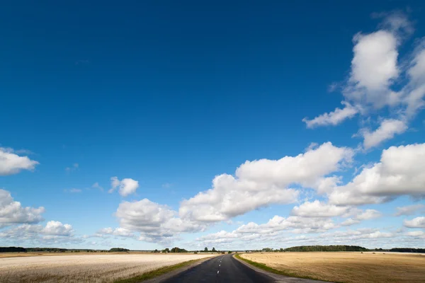 Sommarlandskap. — Stockfoto