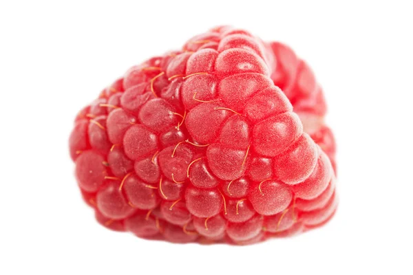 Raspberry. — Stock Photo, Image