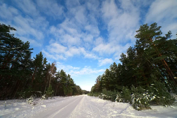Camino de invierno. — Foto de Stock