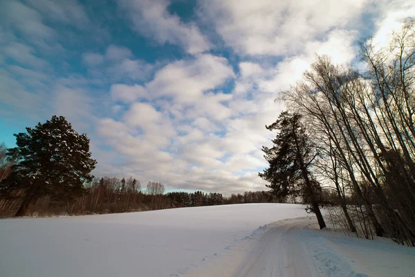 Paesaggio invernale, — Foto Stock