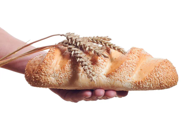 Bread in hand. — Stock Photo, Image