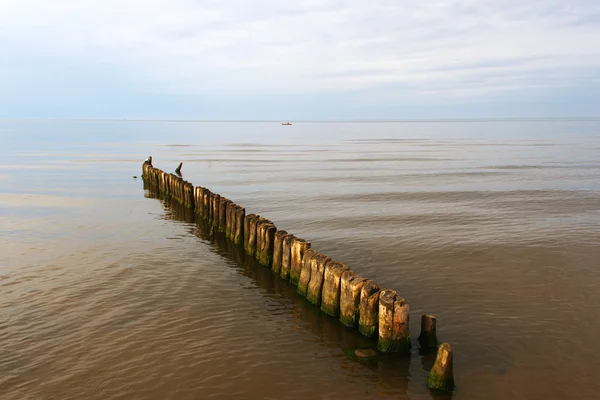 Pozůstatky ol pier. — Stock fotografie