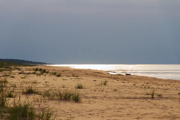 Písčité pobřeží Baltského moře, Lotyšsko. — Stock fotografie