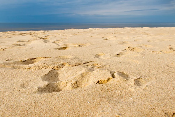 Sandstranden Östersjökusten, Lettland. — Stockfoto