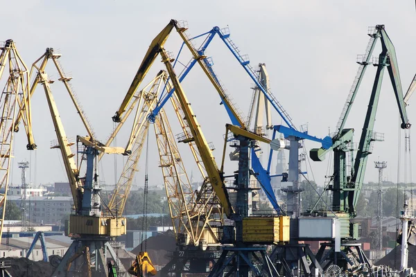 Cranes. — Stock Photo, Image