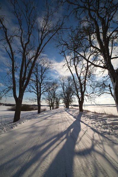 Winterstraße in Lettland, Europa. — Stockfoto