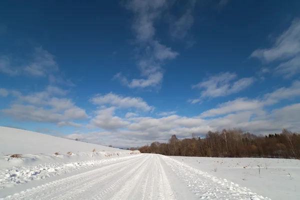 Strada invernale in Lettonia, Europa . — Foto Stock