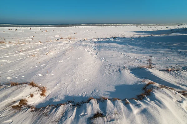 Frozen Baltic sea. — Stock Photo, Image