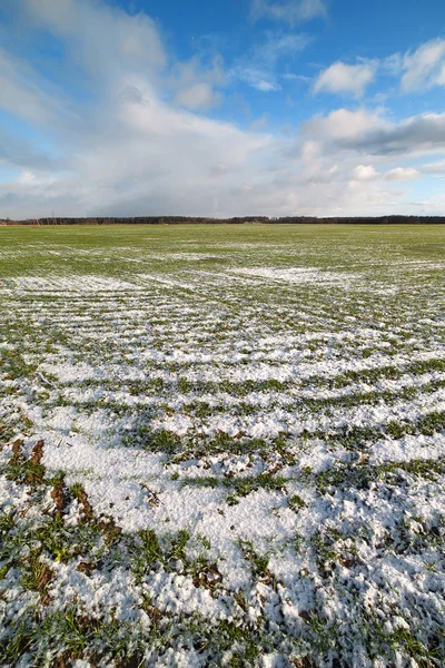 Little snow . — Stock Photo, Image