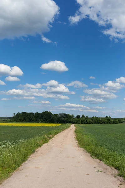 Country road. — Stock Photo, Image