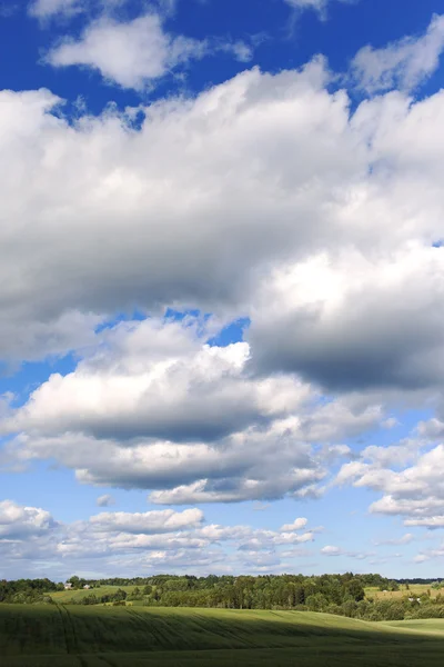 Feld und Wolken. — Stockfoto