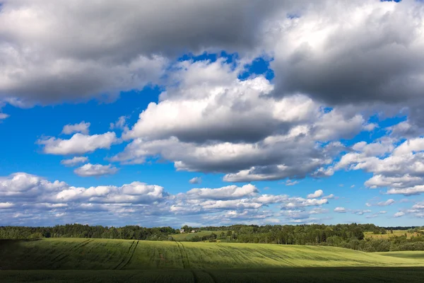 Field and clouds. — Stock Photo, Image