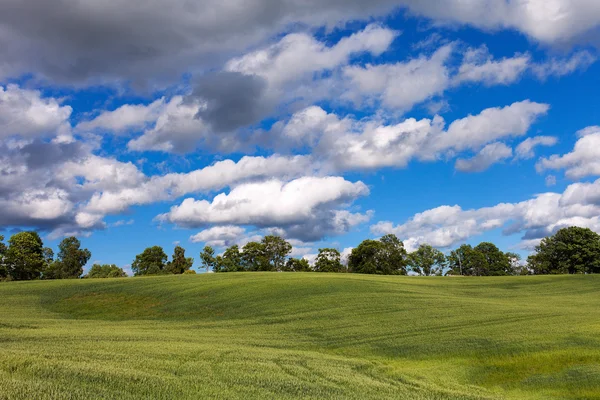 Campo e nuvole . — Foto Stock